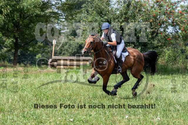Late-Entry-Vielseitigkeit Gahlen (18.07.2020)