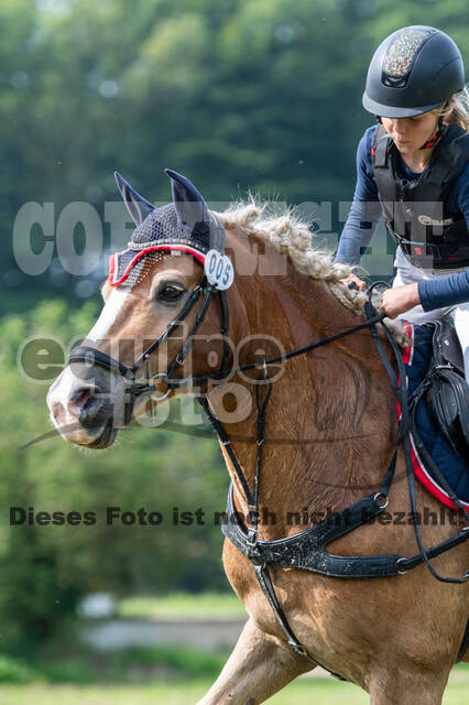 Goldene Schärpe 2021 - Ponys
