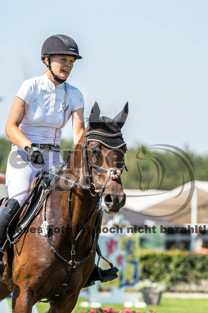 Kronenberg - De Peelbergen (August 2020)