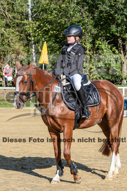 RFV Dinslaken-Hiesfeld (Herbstturnier)