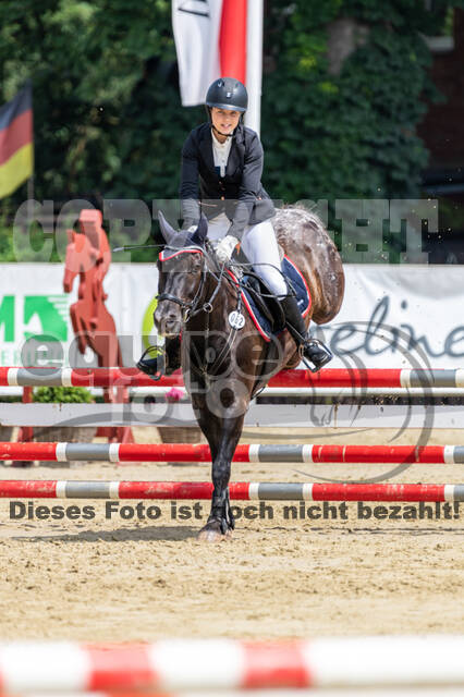 Goldene Schärpe 2021 - Ponys