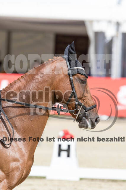 FEI European Championship Eventing 2017