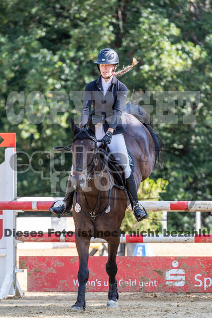 RFV Dinslaken-Hiesfeld (Herbstturnier)