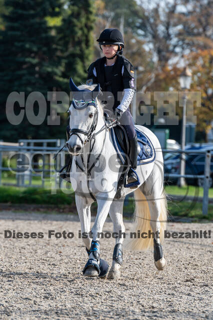 IGV Lehrgang der Sieger der Cups mit Frank Ostholt
