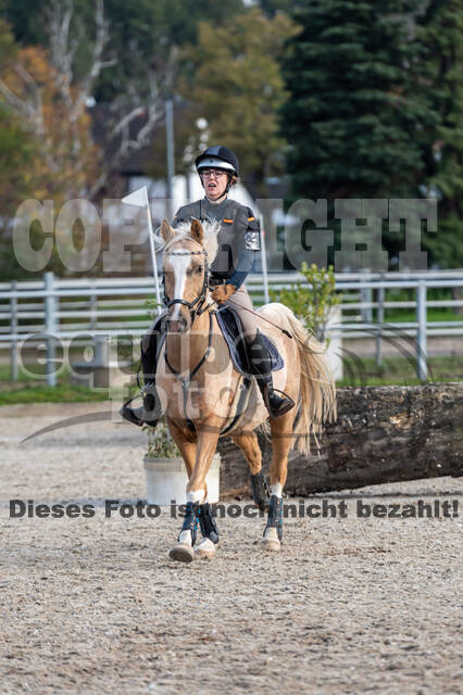 IGV Lehrgang der Sieger der Cups mit Frank Ostholt