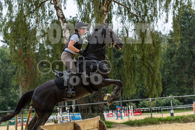 Hunter Geländetraining 10.07.2021 (Sonsbeck)