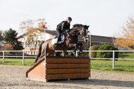 IGV Lehrgang der Sieger der Cups mit Frank Ostholt