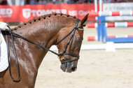 FEI European Championship Eventing 2017