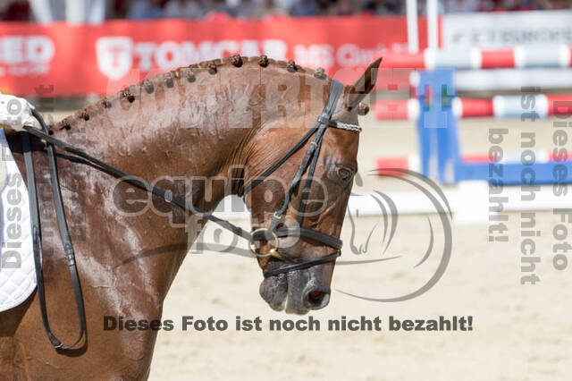 FEI European Championship Eventing 2017