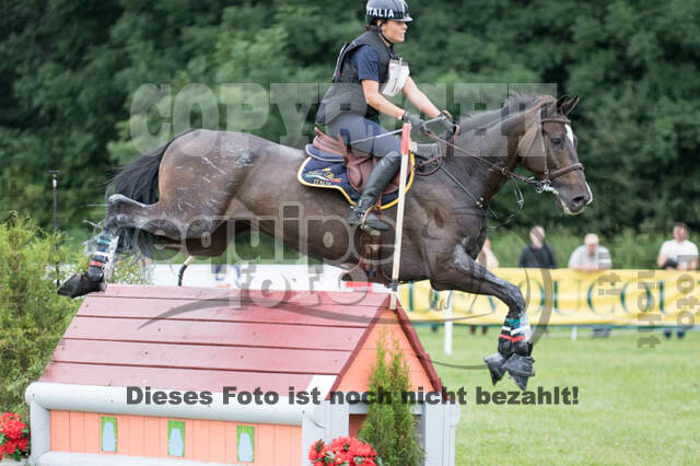 FEI European Championship