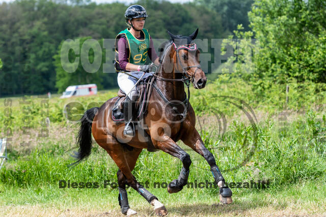 Westerstede Horse Trials (10.-13.06.2021)