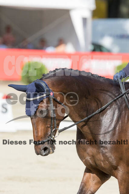 FEI European Championship Eventing 2017