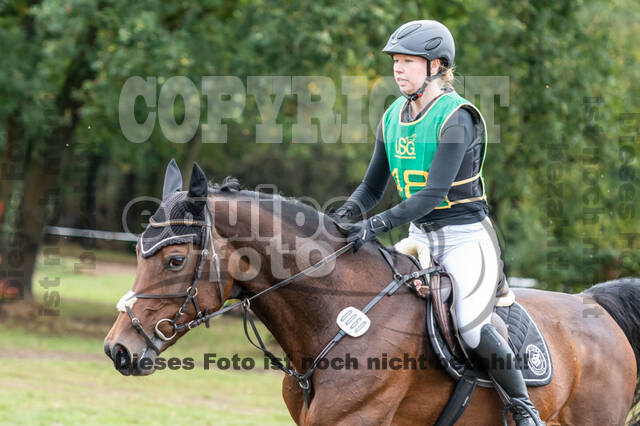 Vielseitigkeit RSV Wesel Obrighoven (26.+27.09.2020)