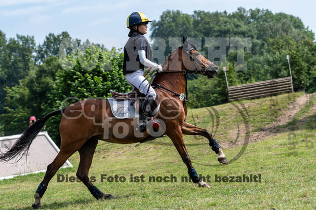 Goldene Schärpe 2021 - Ponys