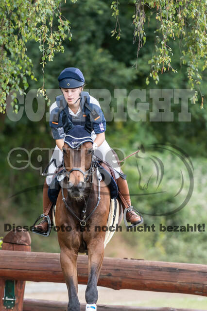 Late-Entry-Vielseitigkeit Langenfeld (11.+13./14.06.2020)