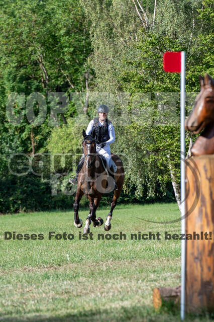 Bonn-Rodderberg Late-Entry-Vielseitigkeit (30.06.2020)
