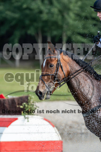 Deutsche Meisterschaft Vielseitigkeit (Luhmühlen)