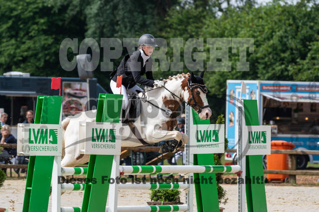Goldene Schärpe 2021 - Ponys