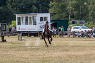 Late-Entry Vielseitigkeit Hamminkeln/Wesel (01.+02.08.2020)