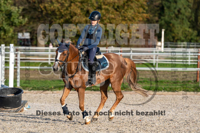 IGV Lehrgang der Sieger der Cups mit Frank Ostholt