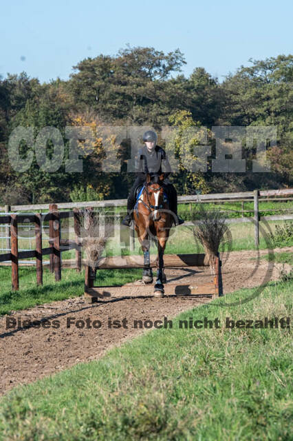 Vielseitigkeitslehrgang mit Jürg Kurbel (9.+10.11.2019)