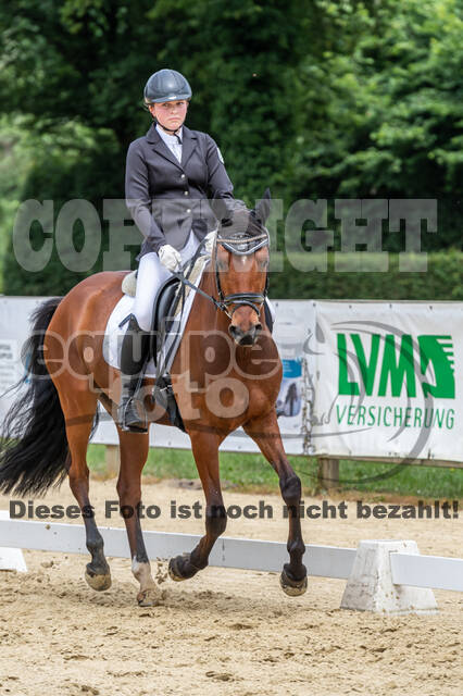 Goldene Schärpe 2021 - Ponys