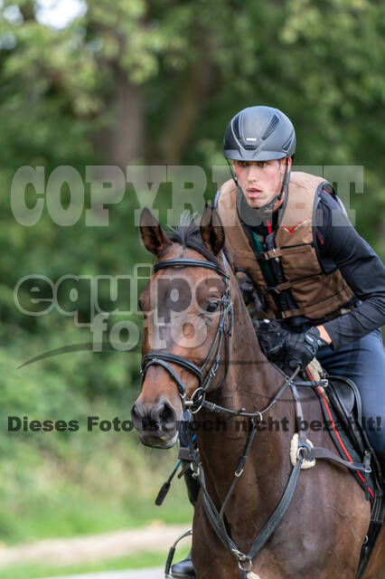 Late-Entry-Vielseitigkeit Langenfeld (06.+07.07.2020)