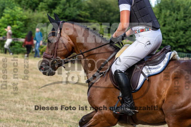 Late-Entry Vielseitigkeit Hamminkeln/Wesel (01.+02.08.2020)
