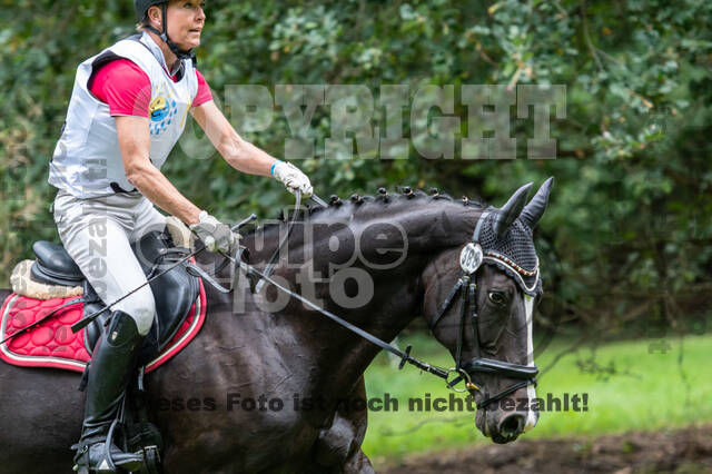 Vielseitigkeit RSV Wesel Obrighoven (26.+27.09.2020)