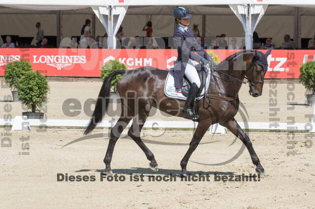 FEI European Championship