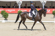 FEI European Championship