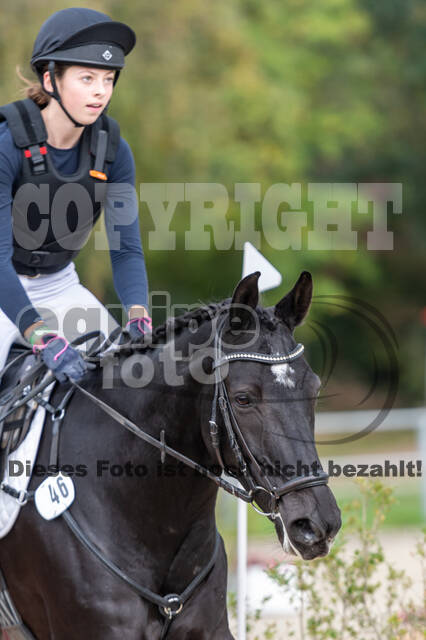 Reiter Schleswig-Holstein