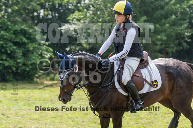 Goldene Schärpe 2021 - Ponys