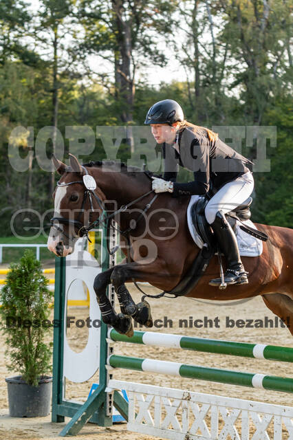 RFV Dinslaken-Hiesfeld (Herbstturnier)