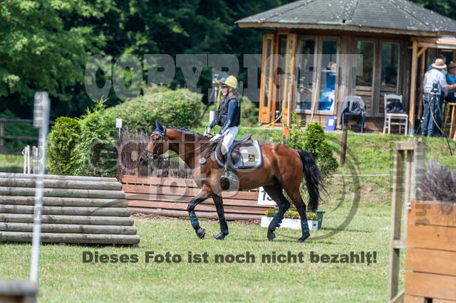 Goldene Schärpe 2021 - Ponys