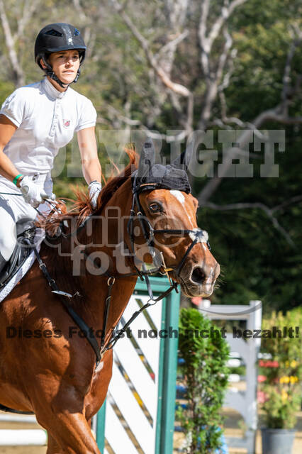 RFV Dinslaken-Hiesfeld (Herbstturnier)