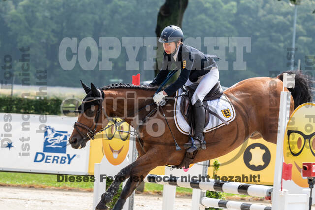 Goldene Schärpe 2021 - Ponys