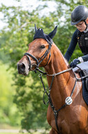 Bonn-Rodderberg Late-Entry-Vielseitigkeit (30.06.2020)