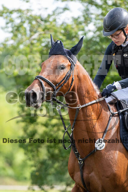Bonn-Rodderberg Late-Entry-Vielseitigkeit (30.06.2020)