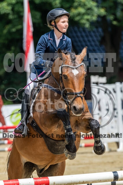 Goldene Schärpe 2021 - Ponys