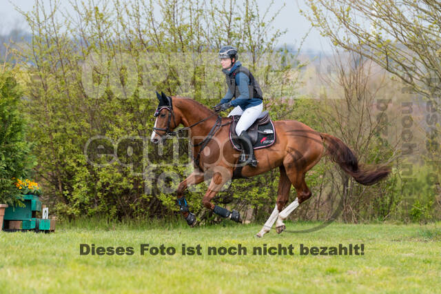 Julia Krajewski , Chilli Morning 4