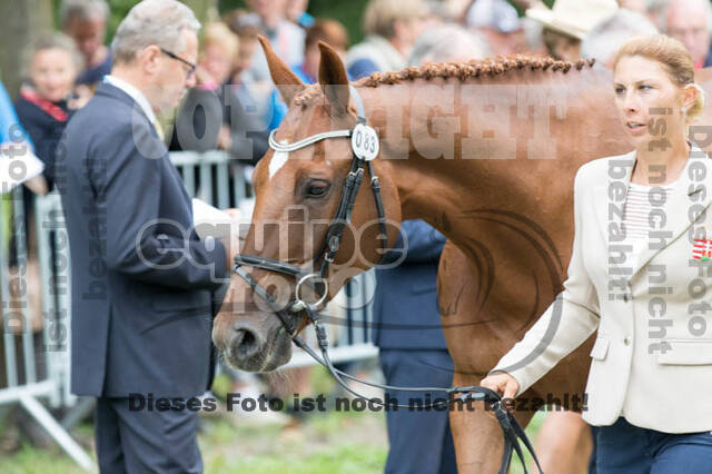 FEI European Championship Eventing 2017