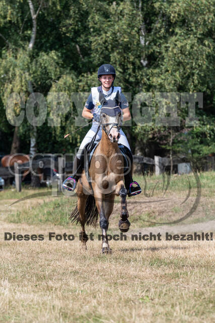 Late-Entry Vielseitigkeit Hamminkeln/Wesel (01.+02.08.2020)