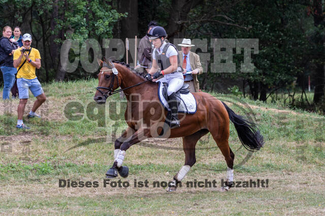 Late-Entry Vielseitigkeit Hamminkeln/Wesel (01.+02.08.2020)