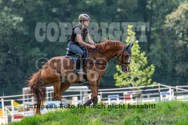 Hunter Geländetraining 10.07.2021 (Sonsbeck)