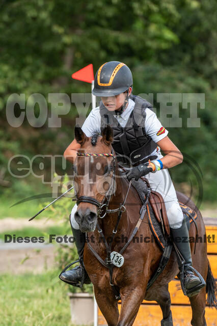 Late-Entry-Vielseitigkeit Langenfeld (06.+07.07.2020)