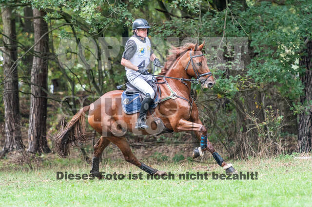 Vielseitigkeit RSV Wesel Obrighoven (26.+27.09.2020)