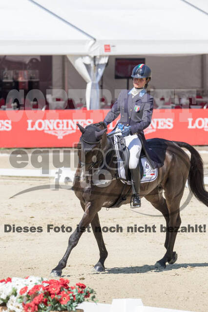 FEI European Championship