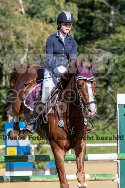 RFV Dinslaken-Hiesfeld (Herbstturnier)