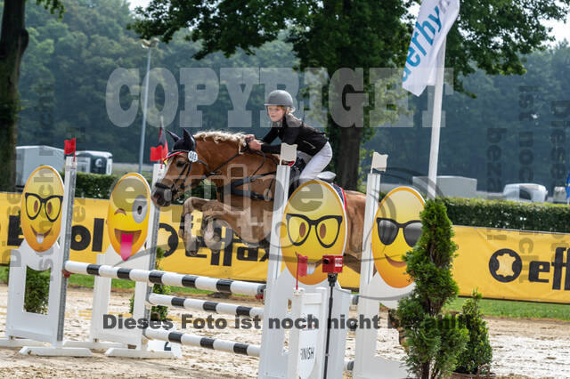 Goldene Schärpe 2021 - Ponys